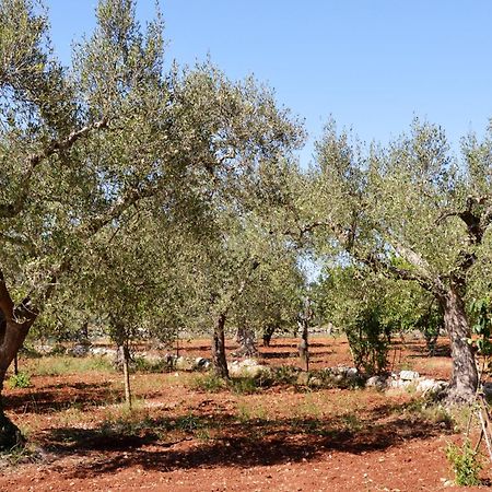 Casa Delle Rondini Bed & Breakfast Alberobello Ngoại thất bức ảnh