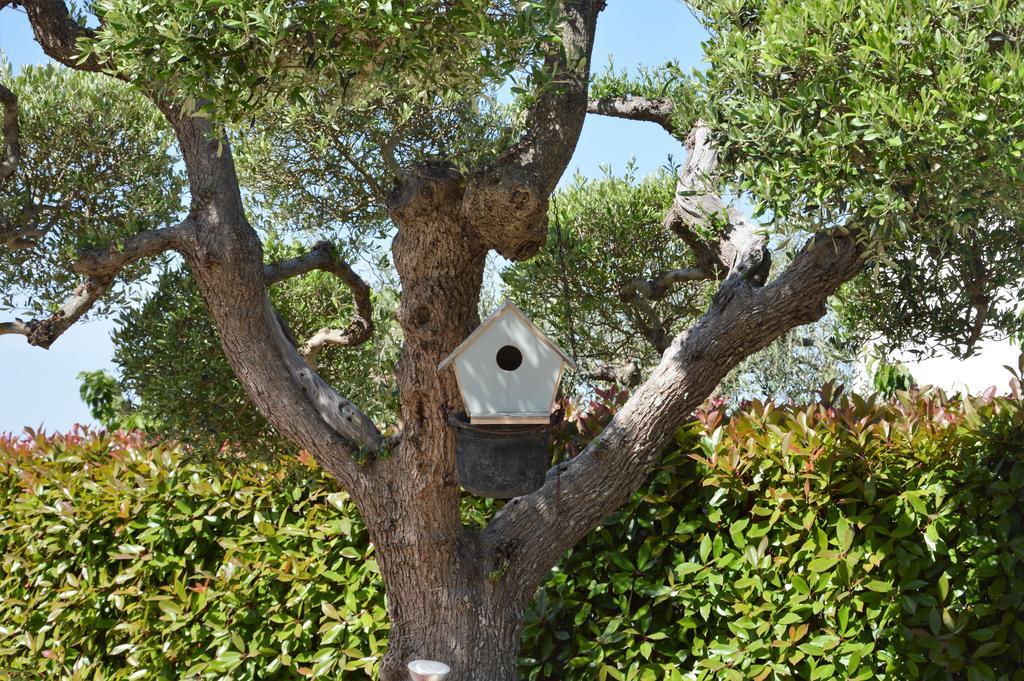 Casa Delle Rondini Bed & Breakfast Alberobello Ngoại thất bức ảnh